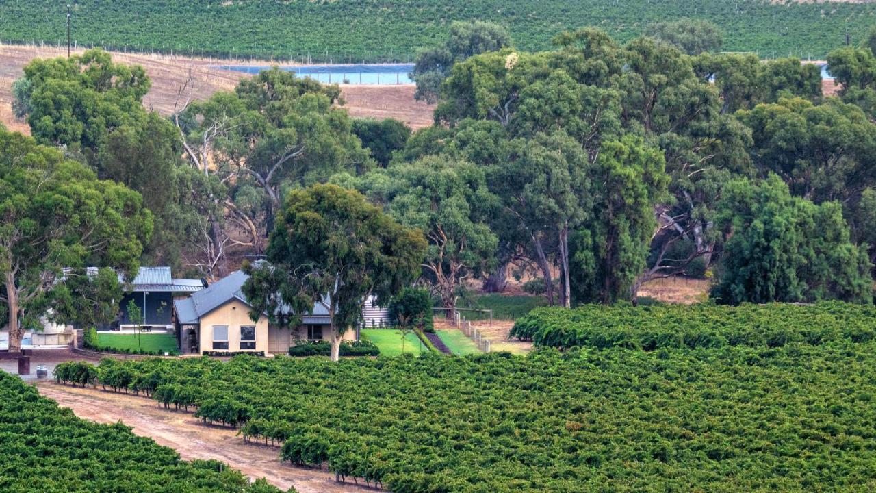 Triple Creek Guest House - Barossa Region Seppeltsfield Ngoại thất bức ảnh